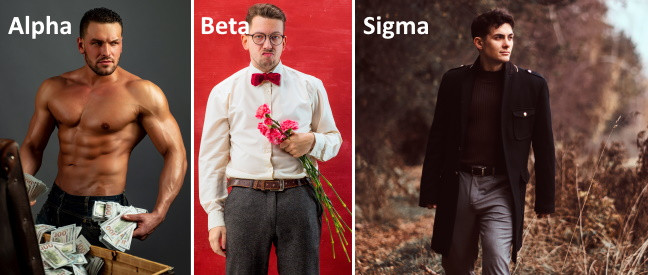 Sigma Male vs. Alpha vs. Beta im Vergleich